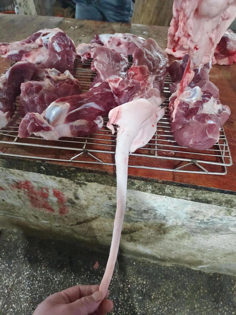 生猪养殖行业的未来趋势：从传统到现代化