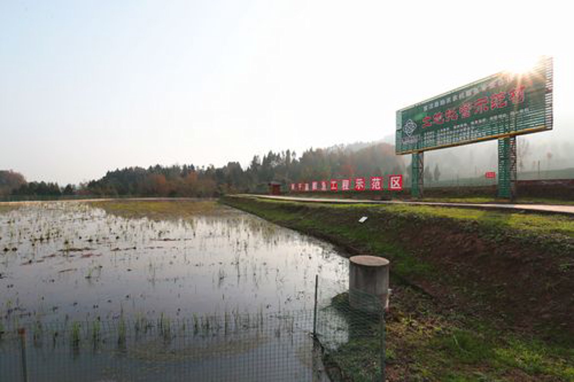中伟养殖